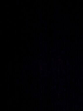 Meet your Posher, Ilona